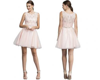 Pink Blush Lace Cocktail Dress 