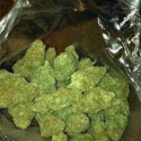 Buy marijuana Online