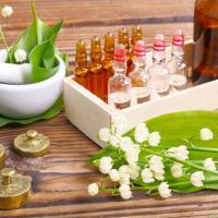 Dr. Sandhar Homeopathy Clinic