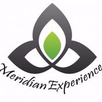 Meridian Experience
