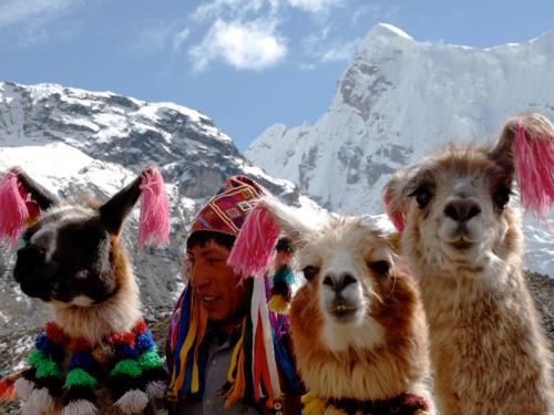 Ausangate Trek and llamas