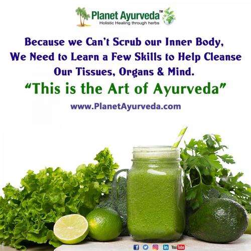 The Art of Ayurveda - Healthy Living